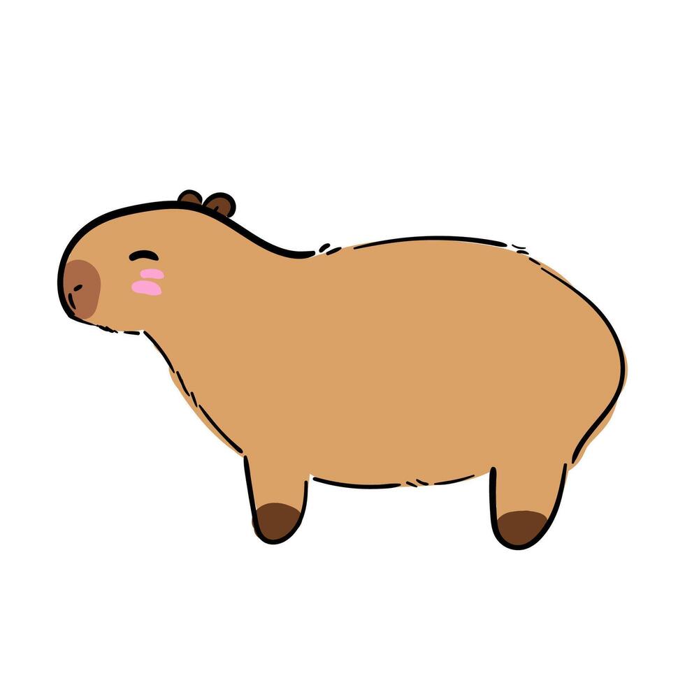 Cute capybara on white background. Colorful flat illustration with outline, isolated. Hand drawn illustration animal vector