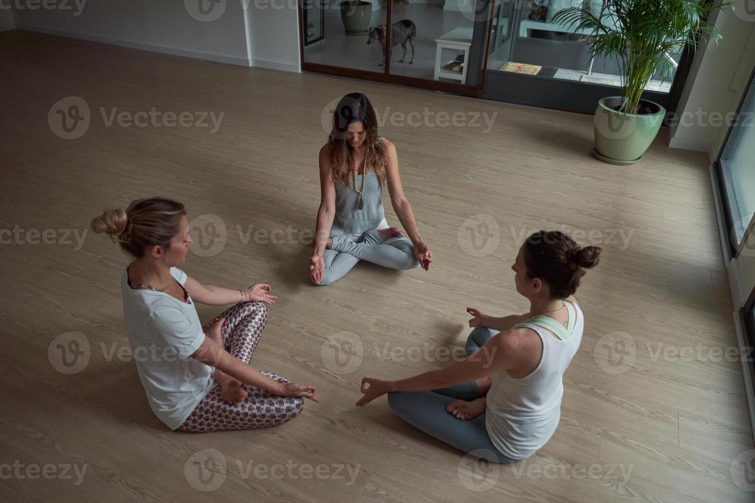 Female friends practicing Padmasana on floor at health club photo