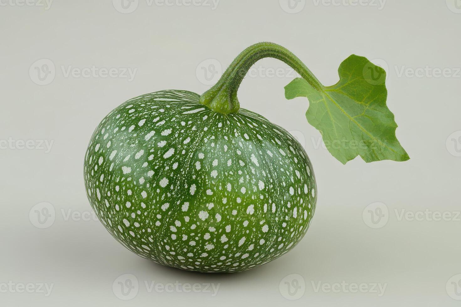A green squash with white spots on it photo