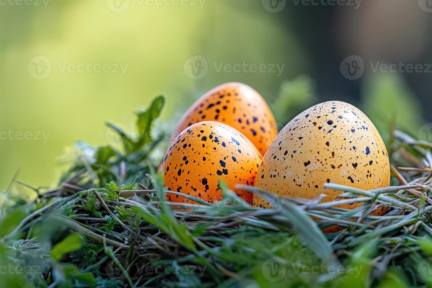 Three eggs in a nest with grass and trees photo