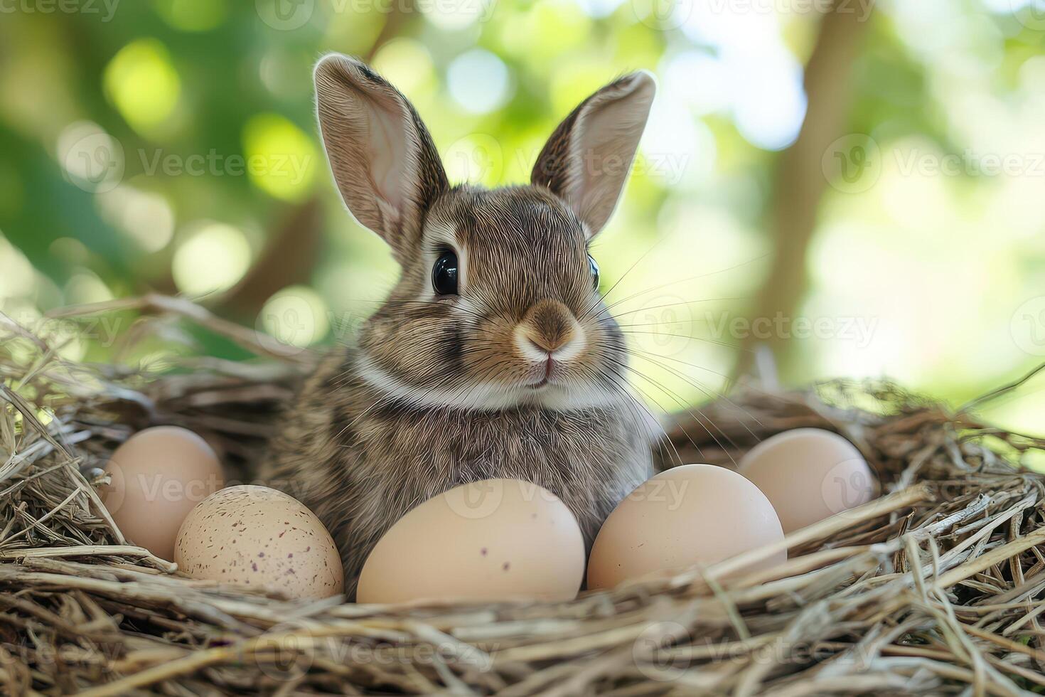 A small rabbit is sitting in a nest with eggs photo