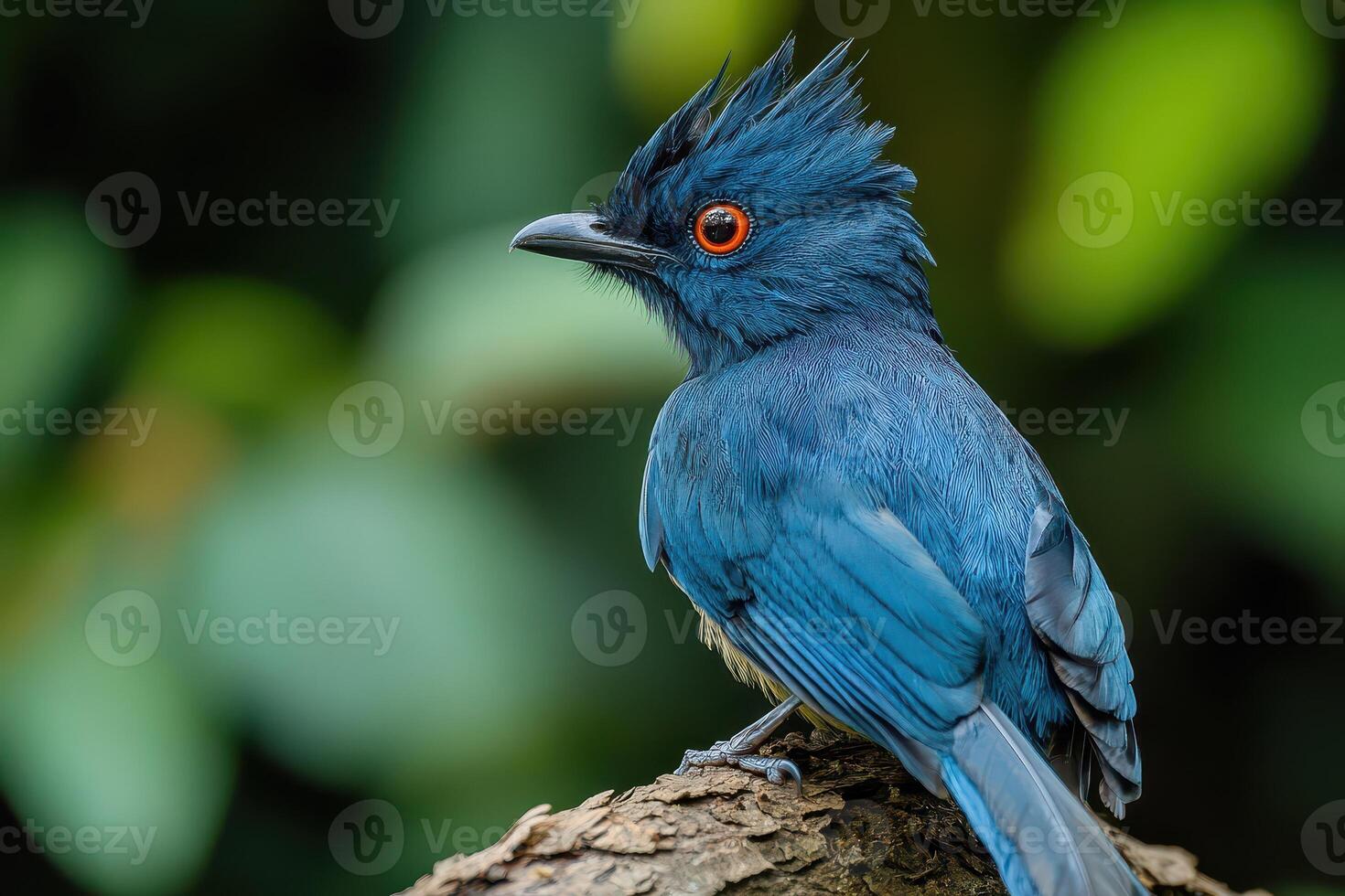 A blue bird with a red beak sitting on a tree branch photo
