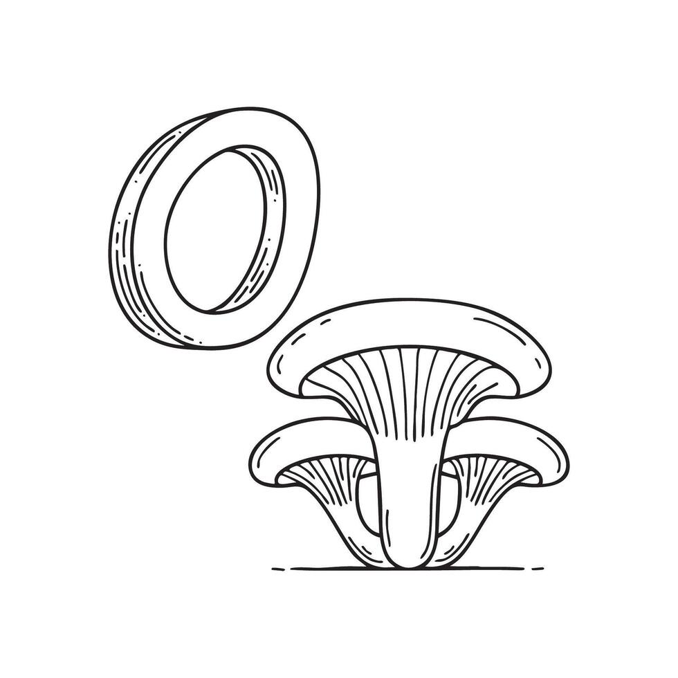 An illustration of letter O stand for Oyster mushroom beside it vector