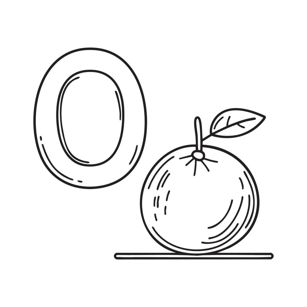 An illustration of letter O stand for Orange beside it vector