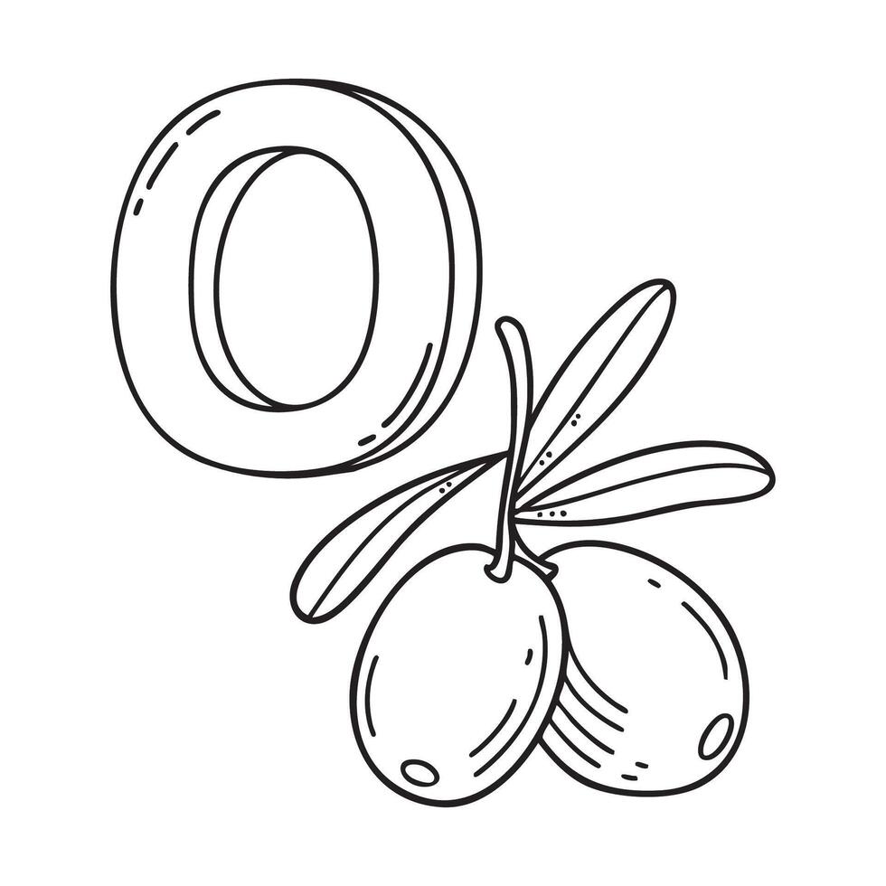 An illustration of letter O stand for Olive beside it vector