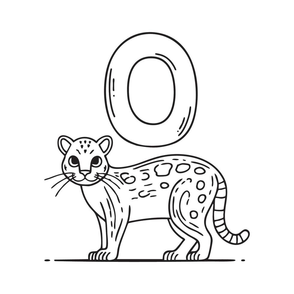 An illustration of letter O stand for Ocelot beside it vector