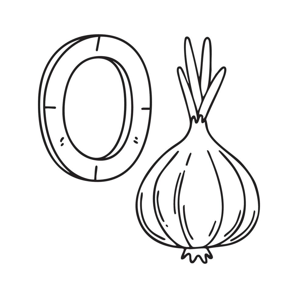 An illustration of letter O stand for Onion beside it vector