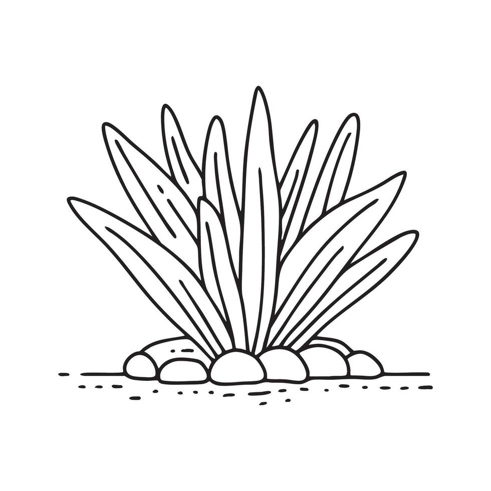 A dense cluster of oyster plants covering the ground vector