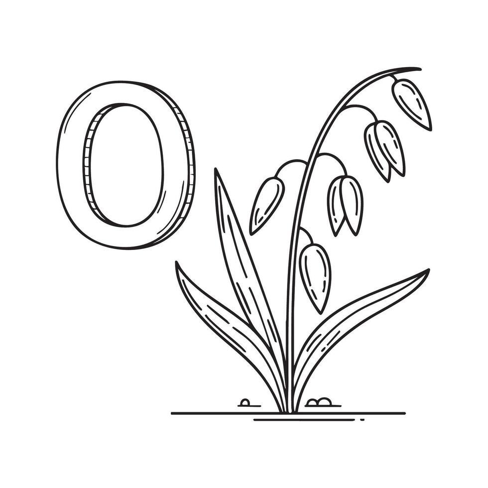 An illustration of letter O stand for Oat beside it vector
