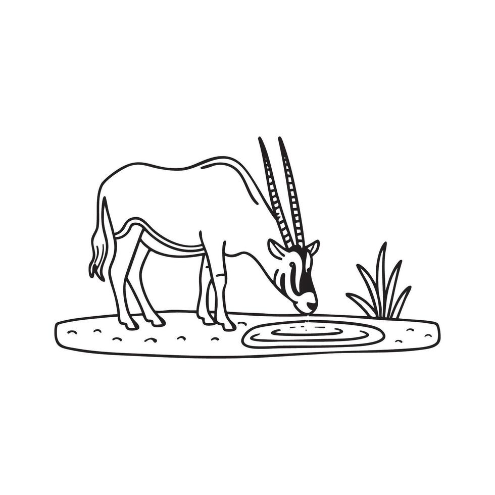 An oryx drinking water from a small desert oasis vector
