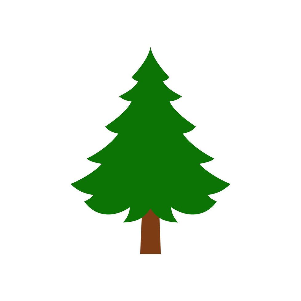Green spruce tree with flat design style growing in winter vector