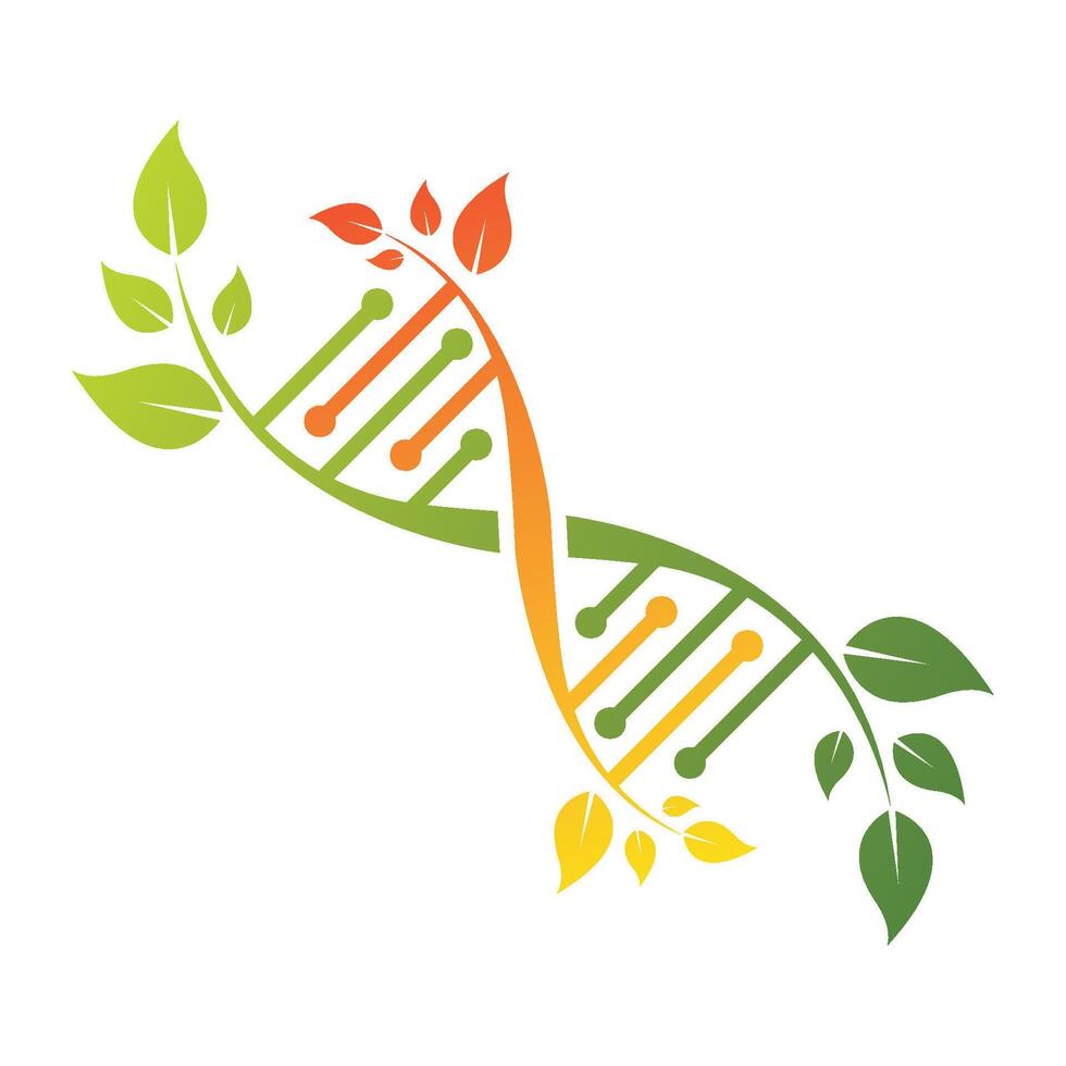 DNA and leaf with gradient color vector