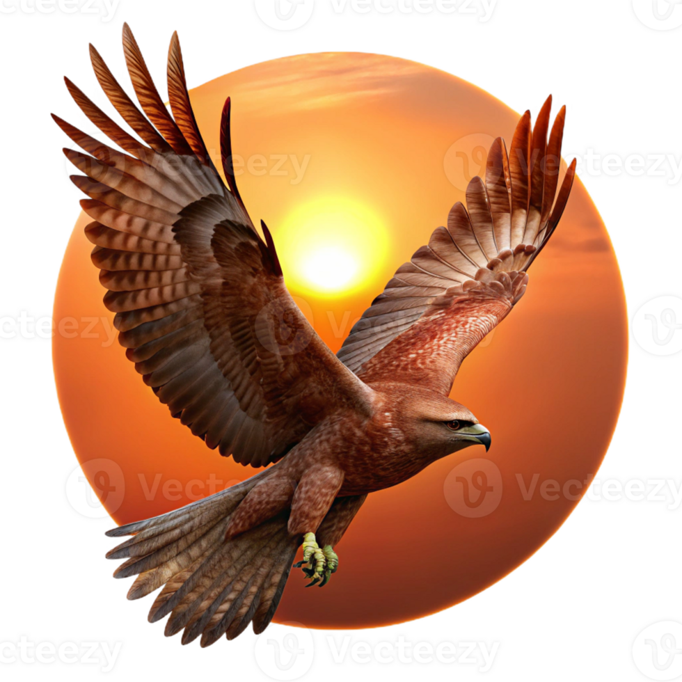 impressive vintage A powerful hawk soaring through the sky, silhouetted against the setting sun, in a dramatic and dynamic digital painting style genuine png