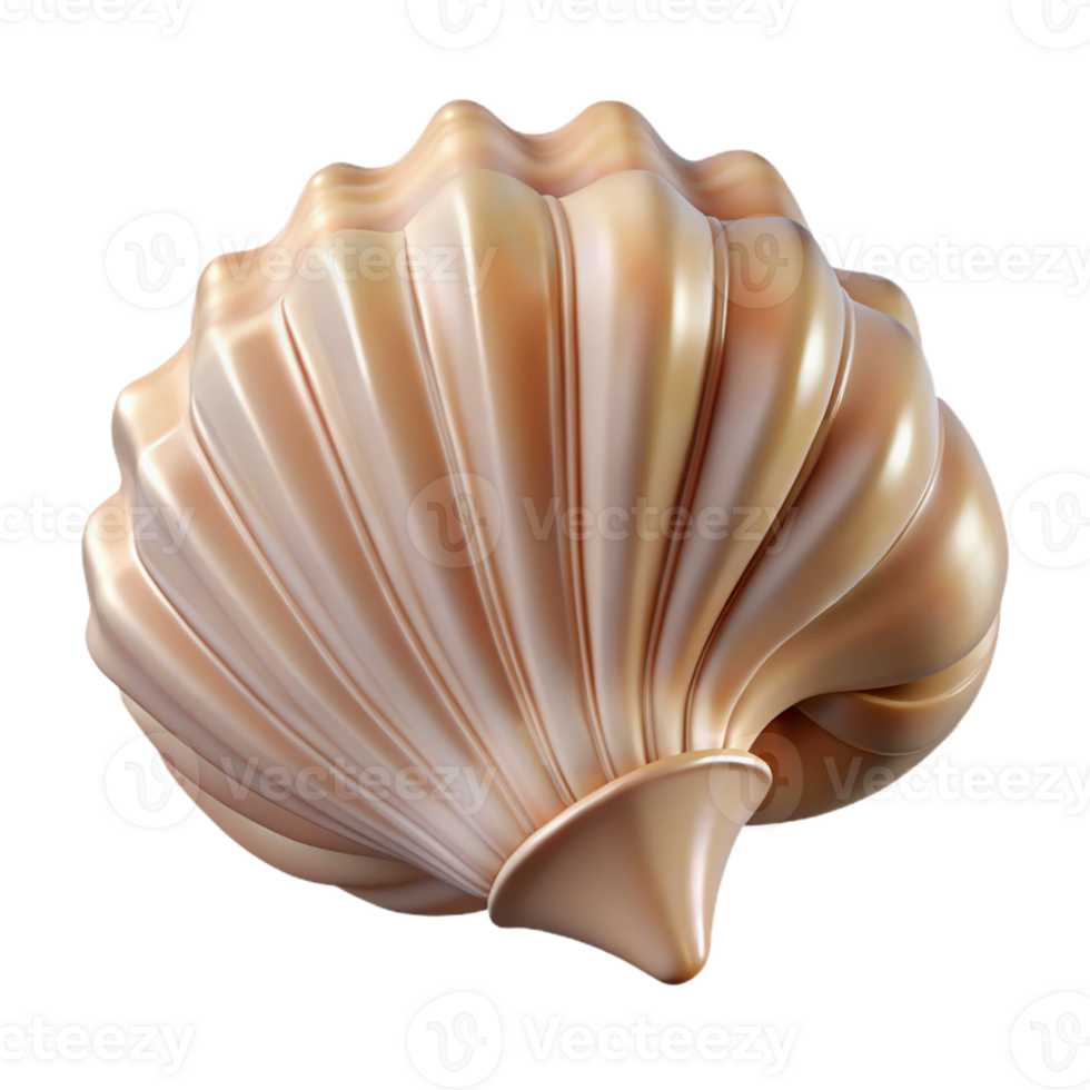 beautiful modern A close-up of a seashell, intricate patterns and textures, soft lighting, minimalist style detailed png