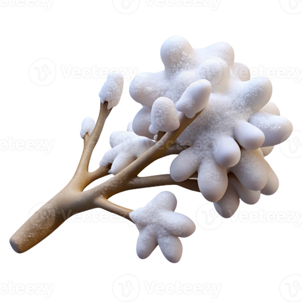 beautiful modern A branch covered in freshly fallen snow, delicate details, winter photography style original png