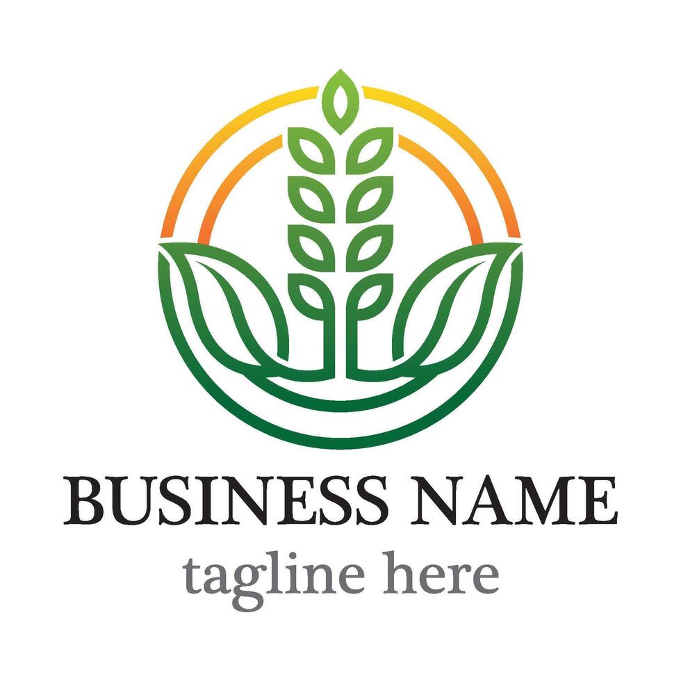 Wheat line with gradient color vector