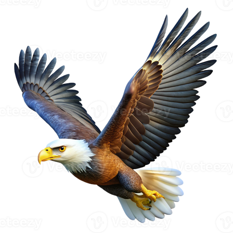 elegant classic A majestic bald eagle soaring through a clear blue sky, realistic wildlife photography, bright natural light detailed png
