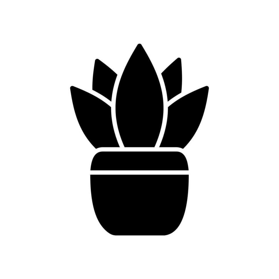 Chrysanthemum flower icon in pot vector