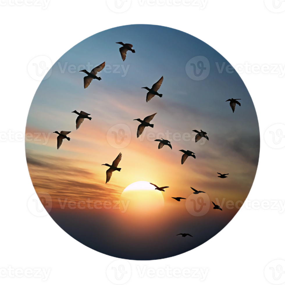 wonderful contemporary A flock of birds flying in formation against a dramatic sunset sky, silhouette, minimalist style professional png