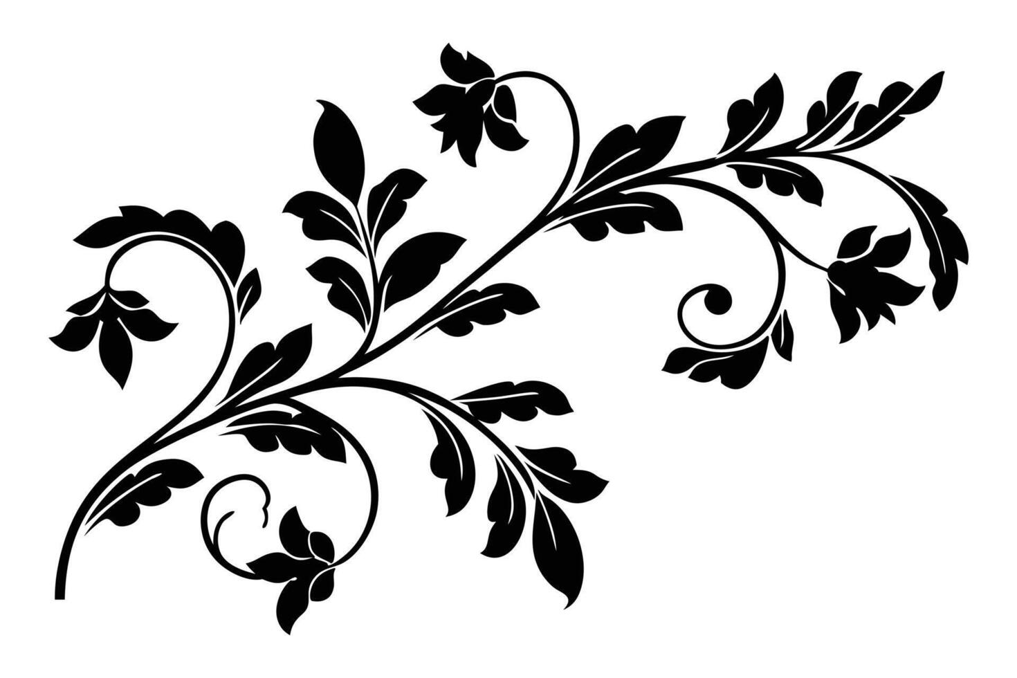 a black and white floral design on a white vector