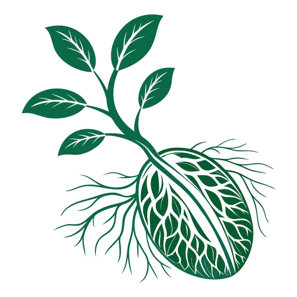 a green plant with roots and leaves vector