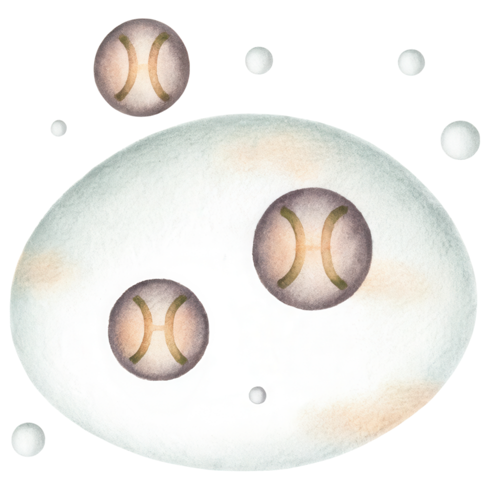 Zodiac Coffee Lovers clipart, Astrological symbols in cosmic setting with bubbles and soft colors png