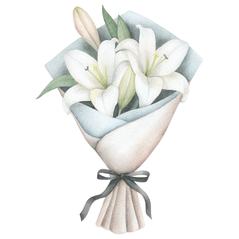 Elegant bouquet of white lilies wrapped in parchment paper Clipart Photo isolated on transparency background png