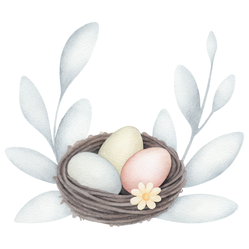 delicate bird nest with pastel colored eggs and flower. Clipart Photo isolated on transparency background png
