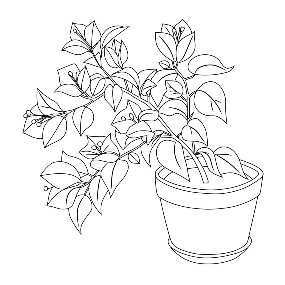 Bougainvillea Line Art Illustration vector