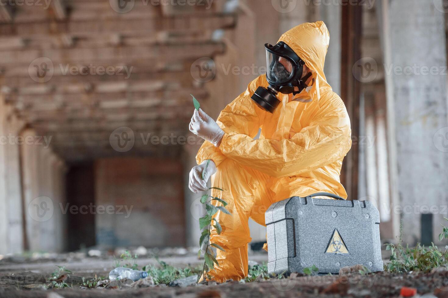 Examines, the plant. Man dressed in chemical protection suit in the ruins of the post apocalyptic building photo
