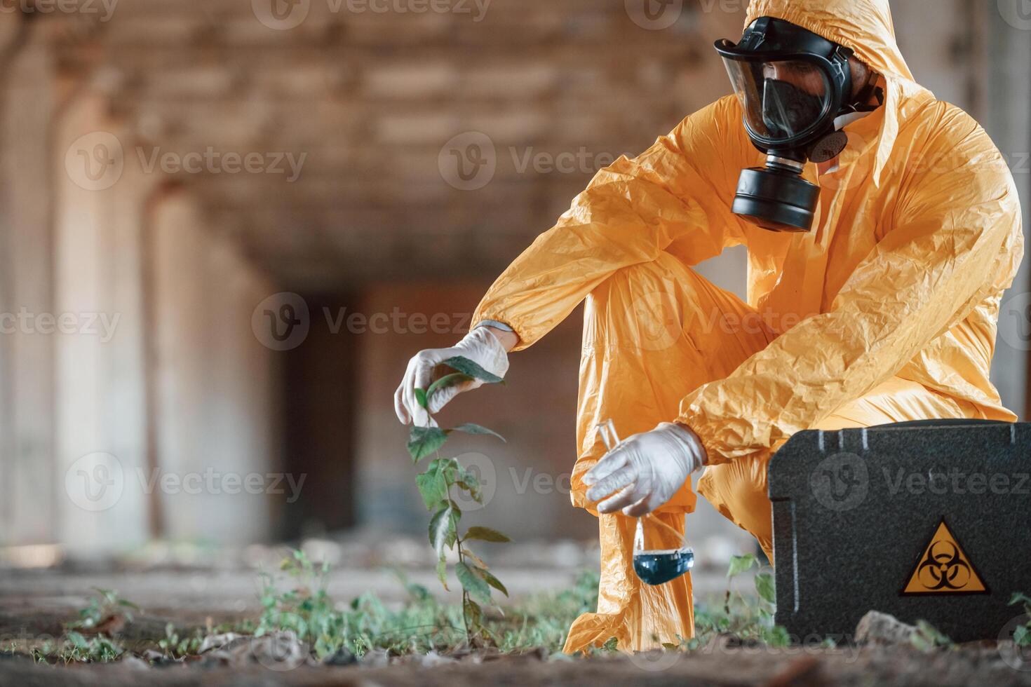 Examines,, the plant. Man dressed in chemical protection suit in the ruins of the post apocalyptic building photo