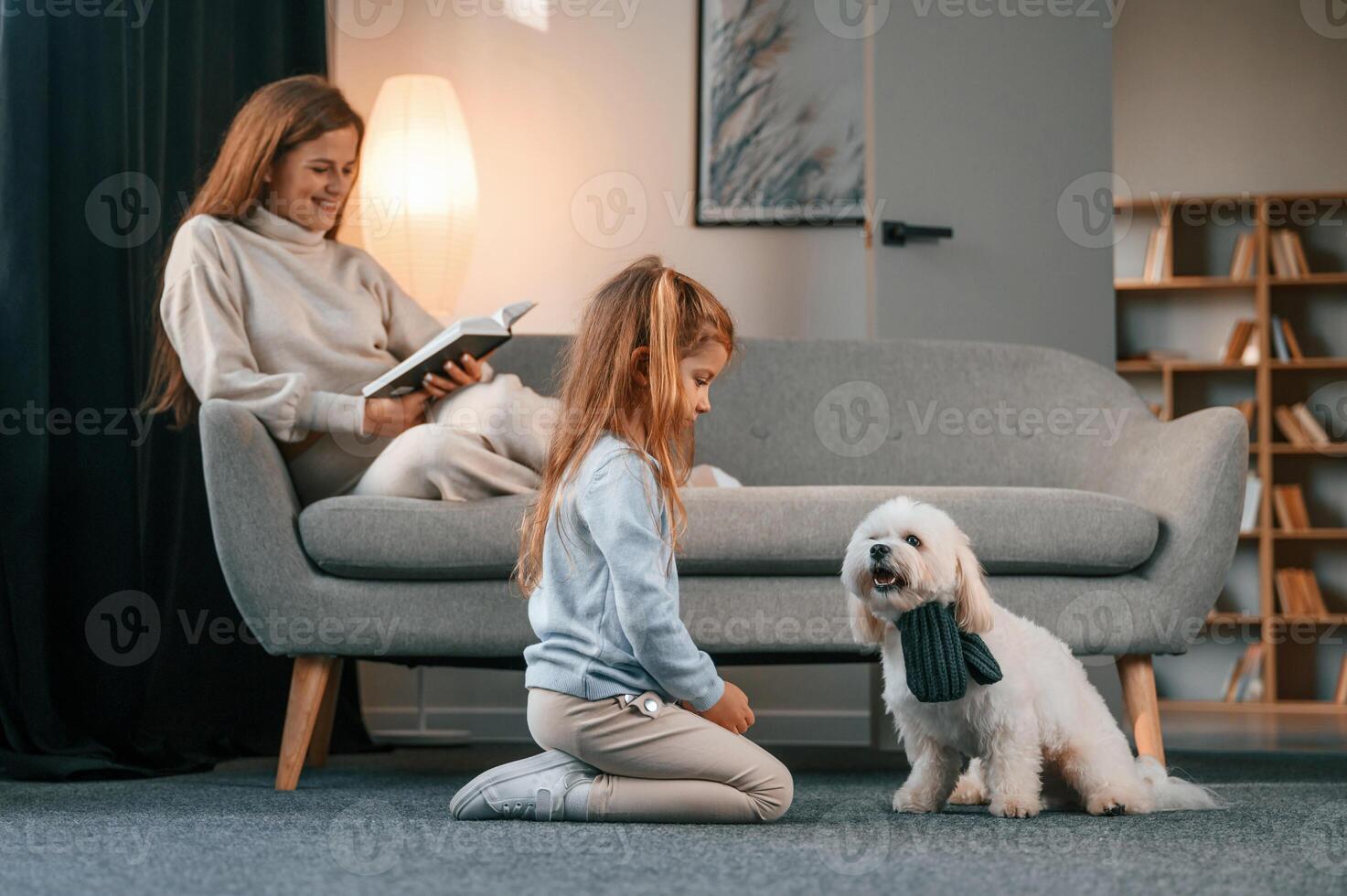 Side ,view. Girl is playing with her pet. Mother with daughter is at home with maltese dog photo