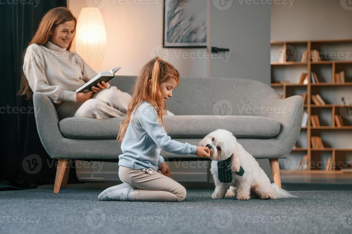 Side view... Girl is playing with her pet. Mother with daughter is at home with maltese dog photo