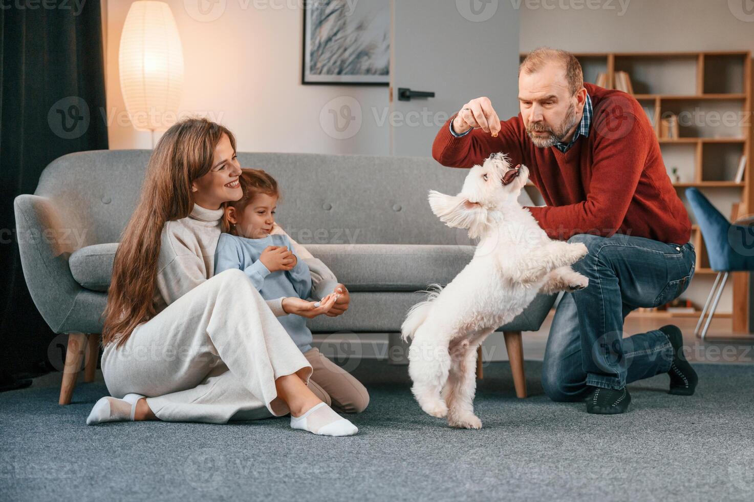 Animal, is standing on back legs. Man is playing with maltese dog. Mother with her daughter is watching photo