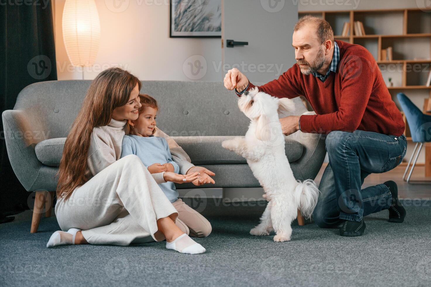 Animal is standing ,on back, legs. Man is playing with maltese dog. Mother with her daughter is watching photo