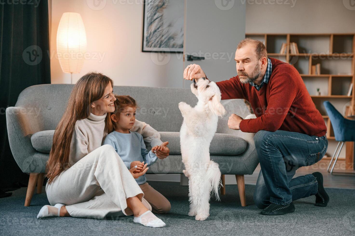 Animal is standing ,on ,back legs. Man is playing with maltese dog. Mother with her daughter is watching photo