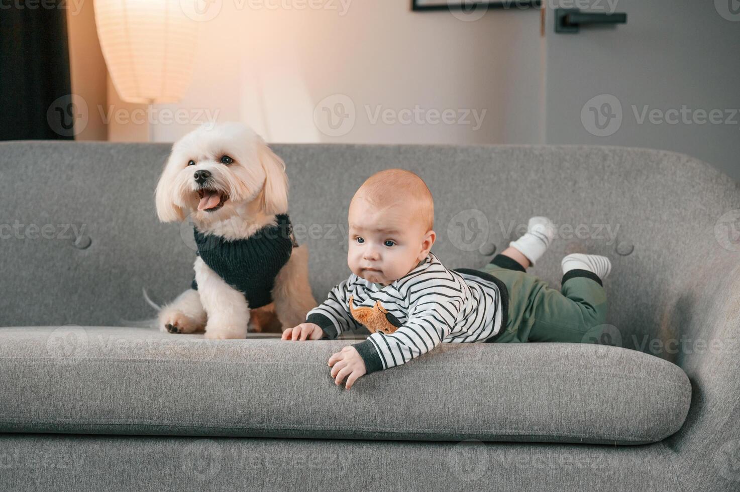 Toddler is ,on the sofa with maltese dog. Indoors at home photo