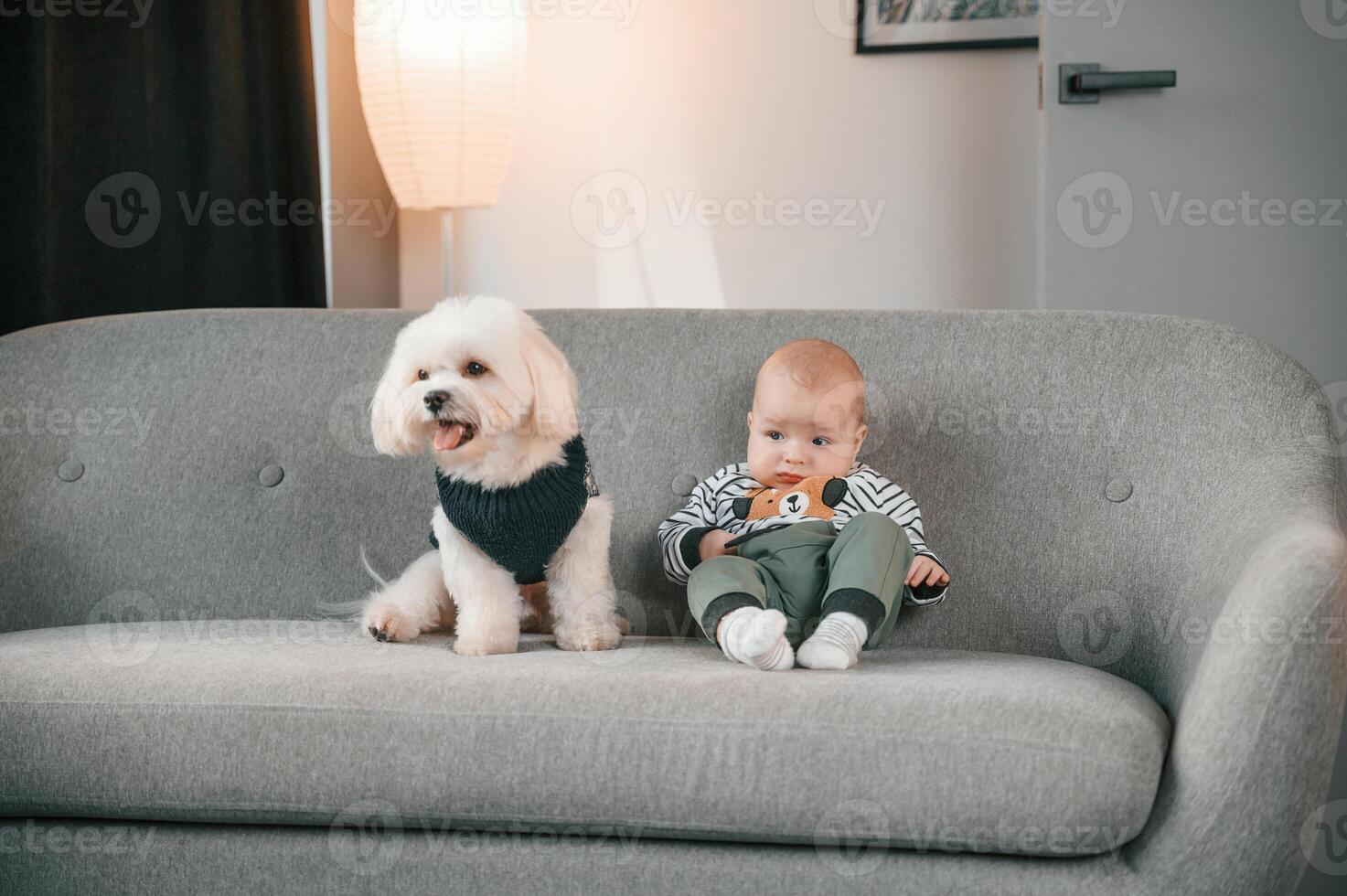 Toddler, is on the sofa with maltese dog. Indoors at home photo