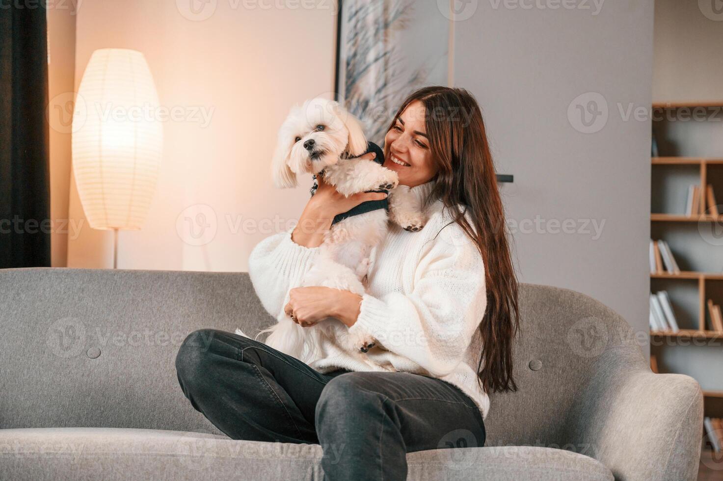 Sitting on the sofa. Beautiful woman is with, maltese dog is at home photo