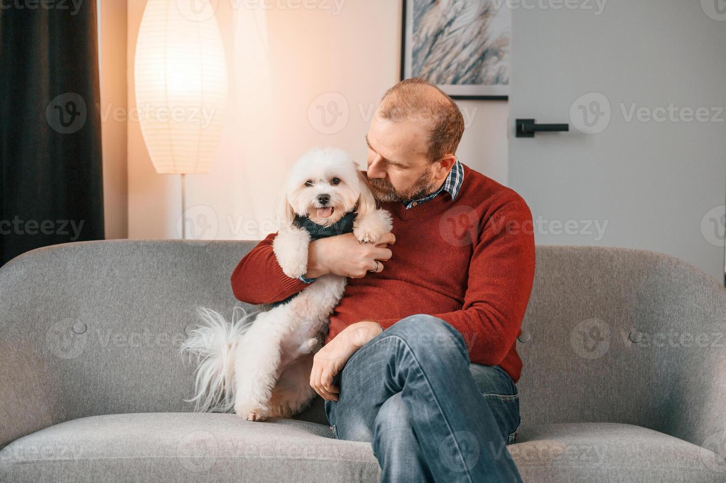 Man is sitting with his maltese ,dog on the sofa indoors photo