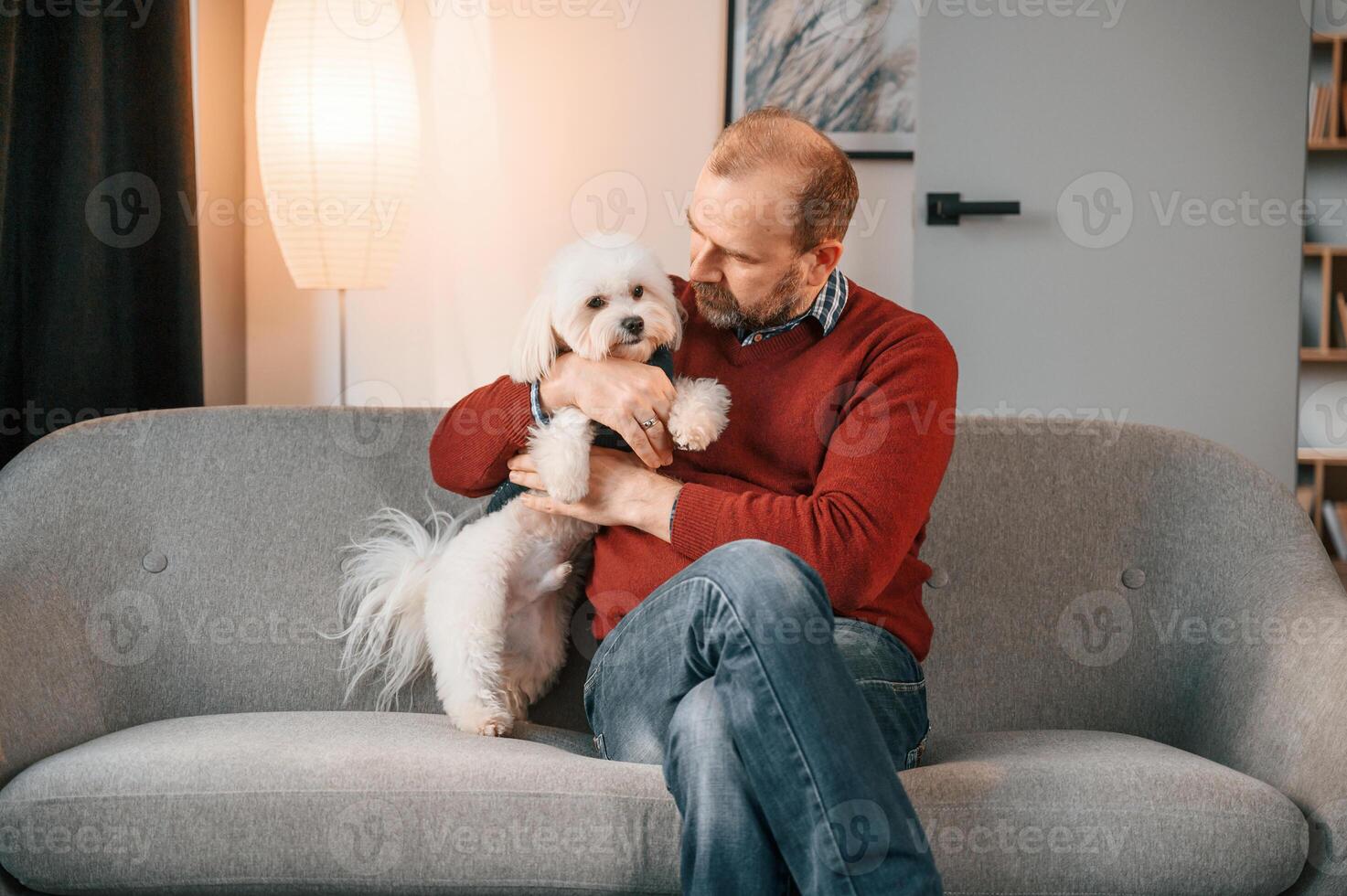 Man is sitting with his, maltese dog on the sofa indoors photo