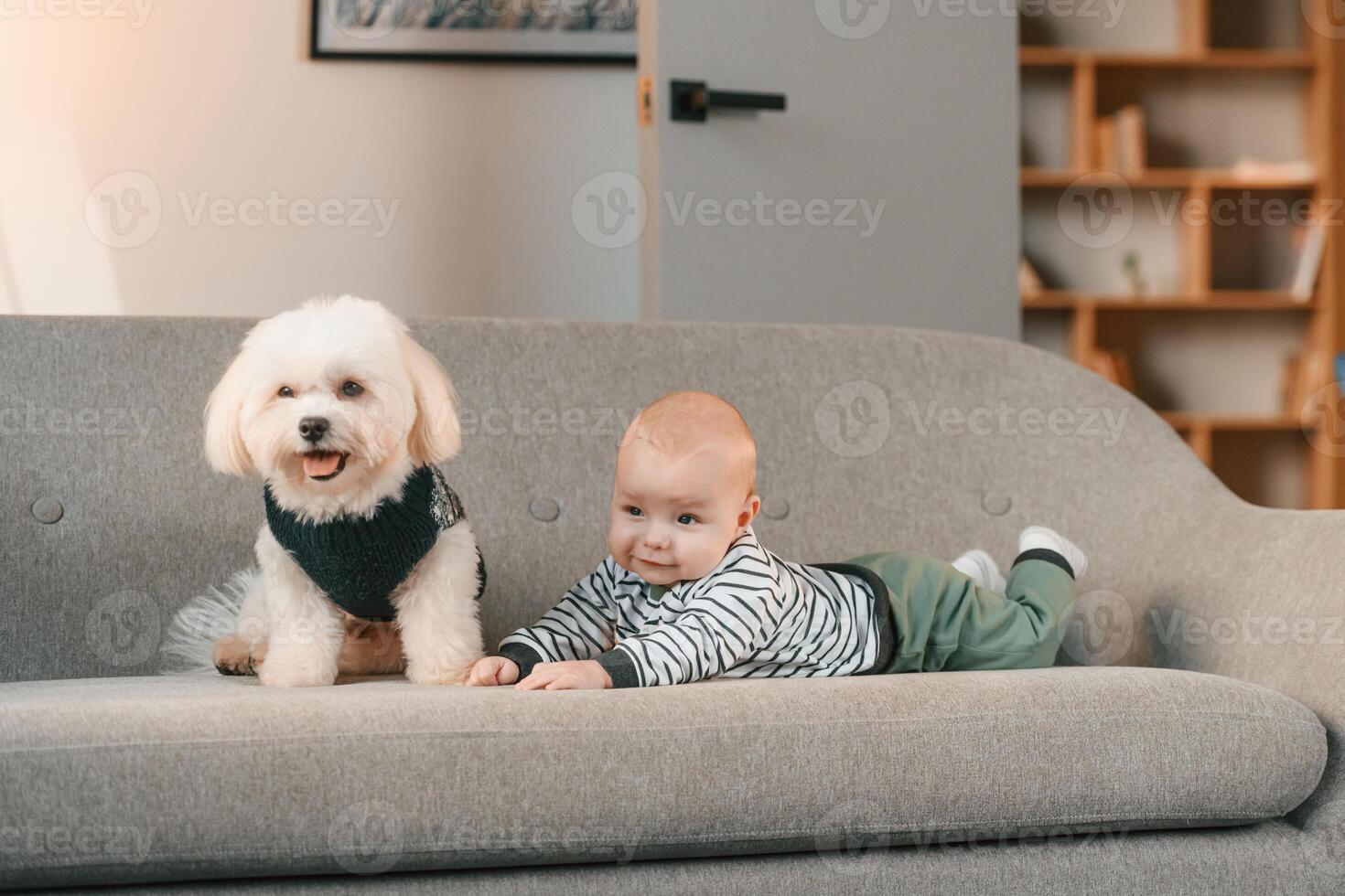 Animal is in black clothes. Toddler, is on the sofa with maltese dog. Indoors at home photo