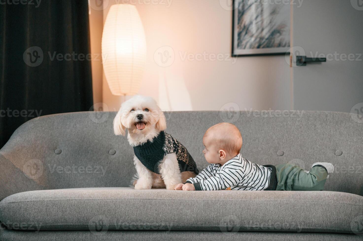 Toddler is on the, sofa with maltese dog. Indoors at home photo
