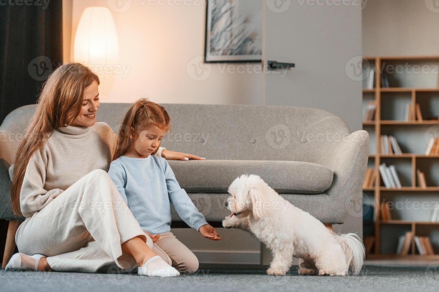 Playing with pet. Mother with daughter is at home with maltese dog photo