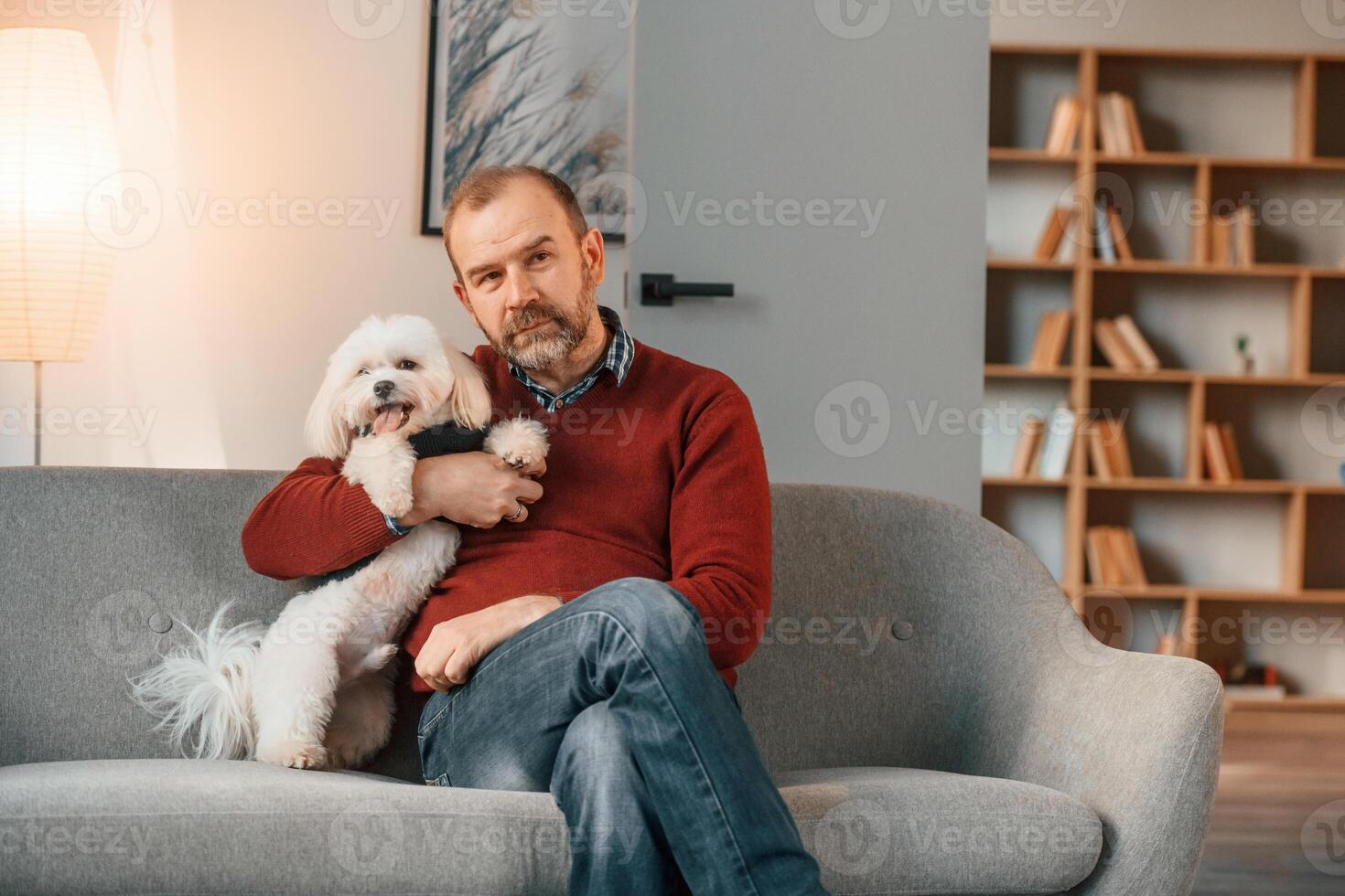 Man is, sitting with his maltese dog on the sofa indoors photo