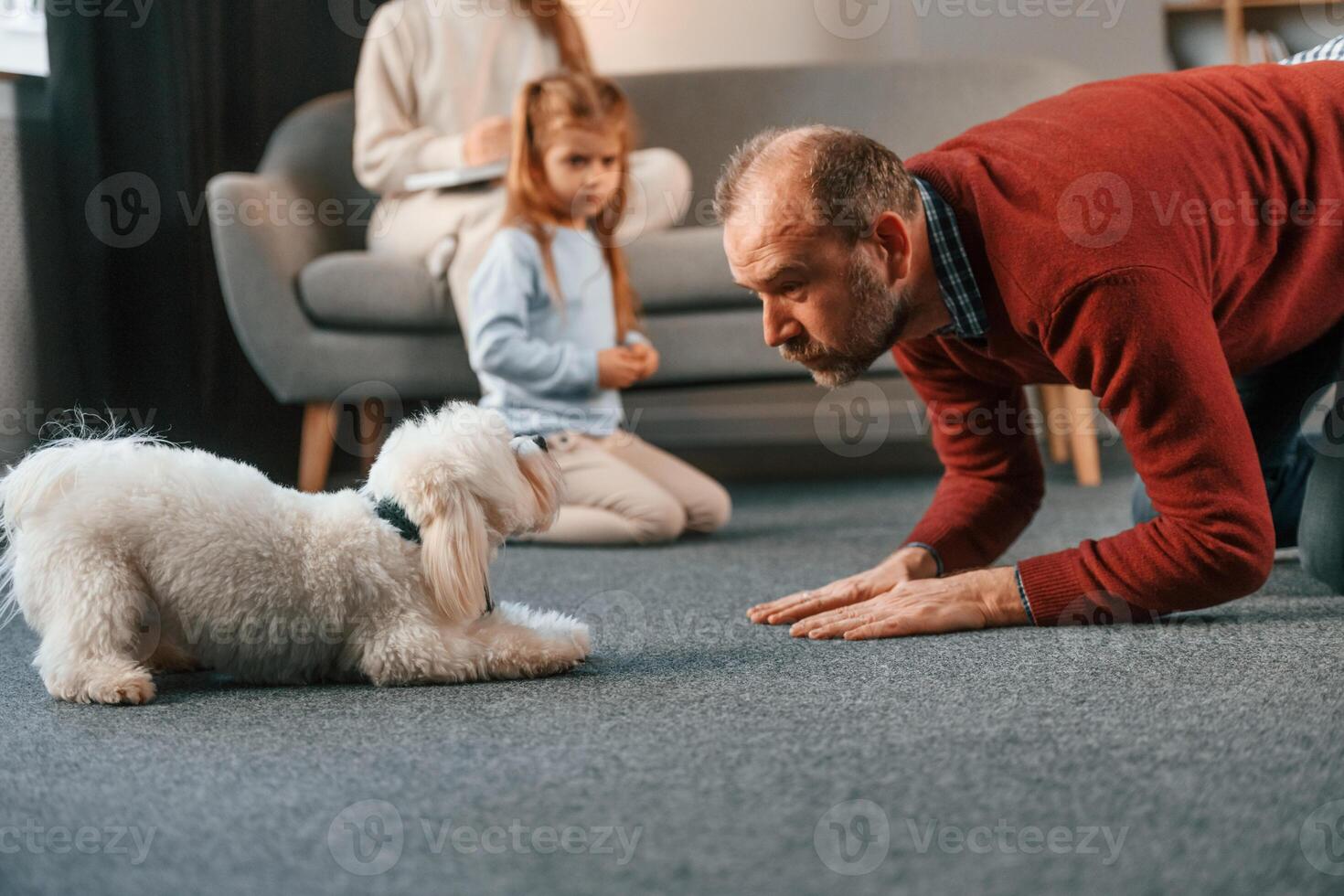 Doing, tricks. Man is playing with maltese dog. Mother with her daughter is watching photo