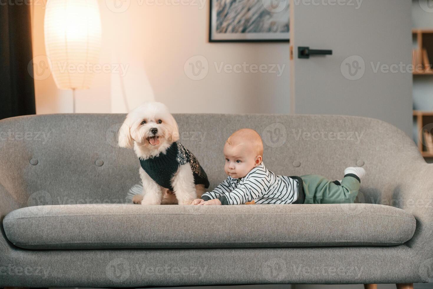 Animal is in black clothes.. Toddler is on the sofa with maltese dog. Indoors at home photo
