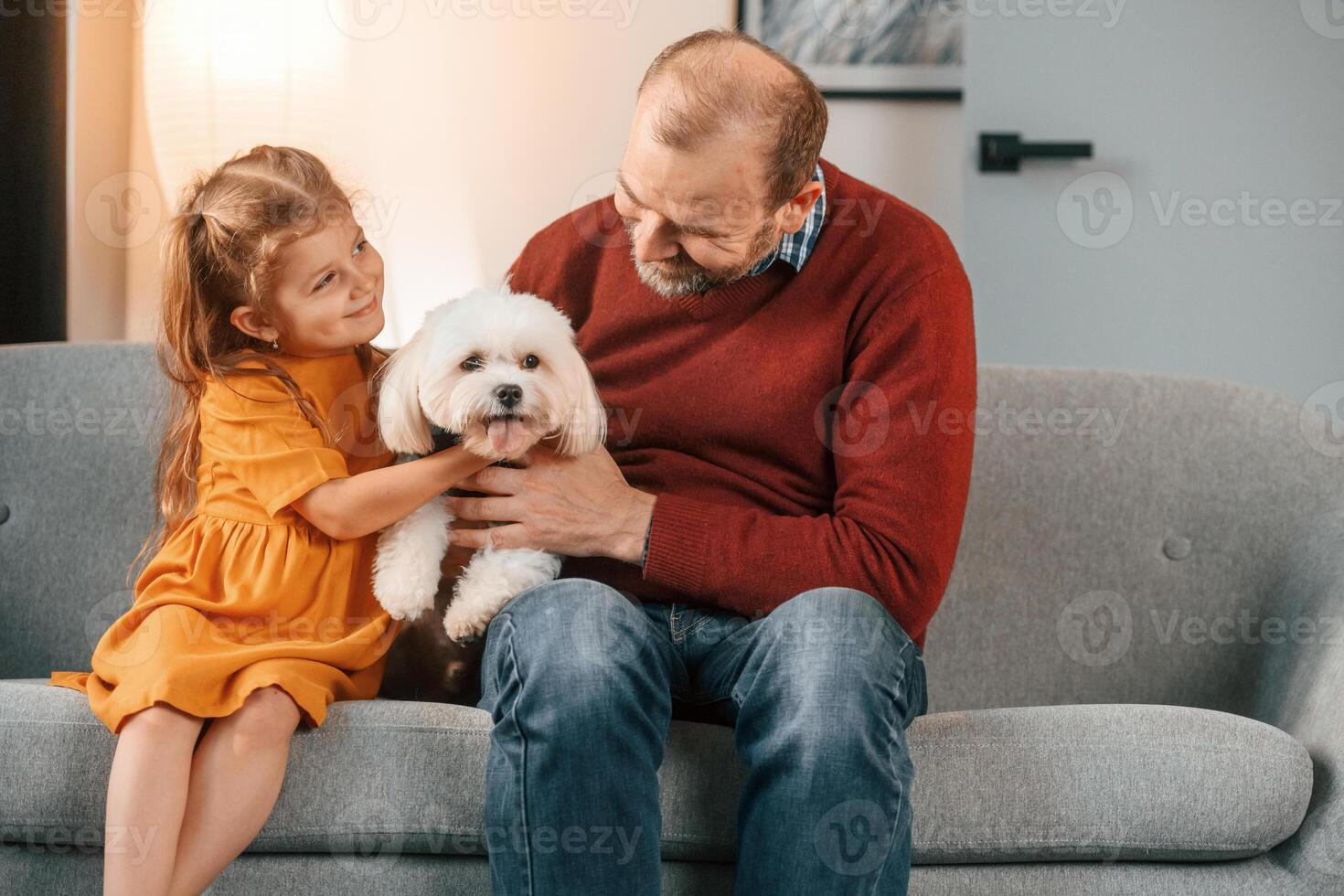 Front view. .Man is taking care of his maltese dog. Girl is sitting on the sofa photo