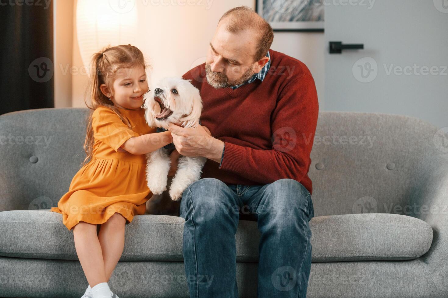 Front view. Man is taking care of ,his maltese dog. Girl is sitting on the sofa photo