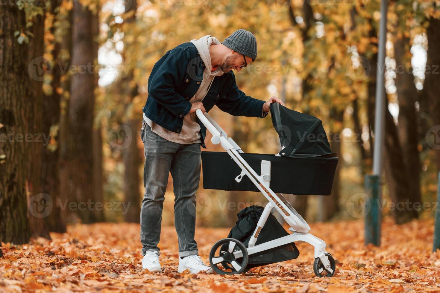 Looking, inside the pram. Man is having a walk in the autumn park photo